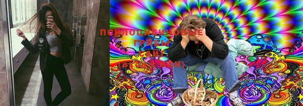 мет Долгопрудный