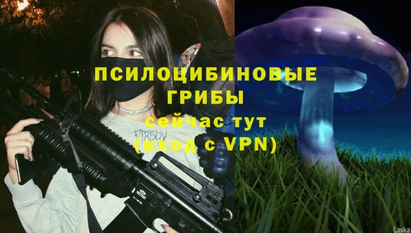 MESCALINE Зерноград