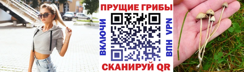 Галлюциногенные грибы GOLDEN TEACHER  Купить где  Кропоткин 